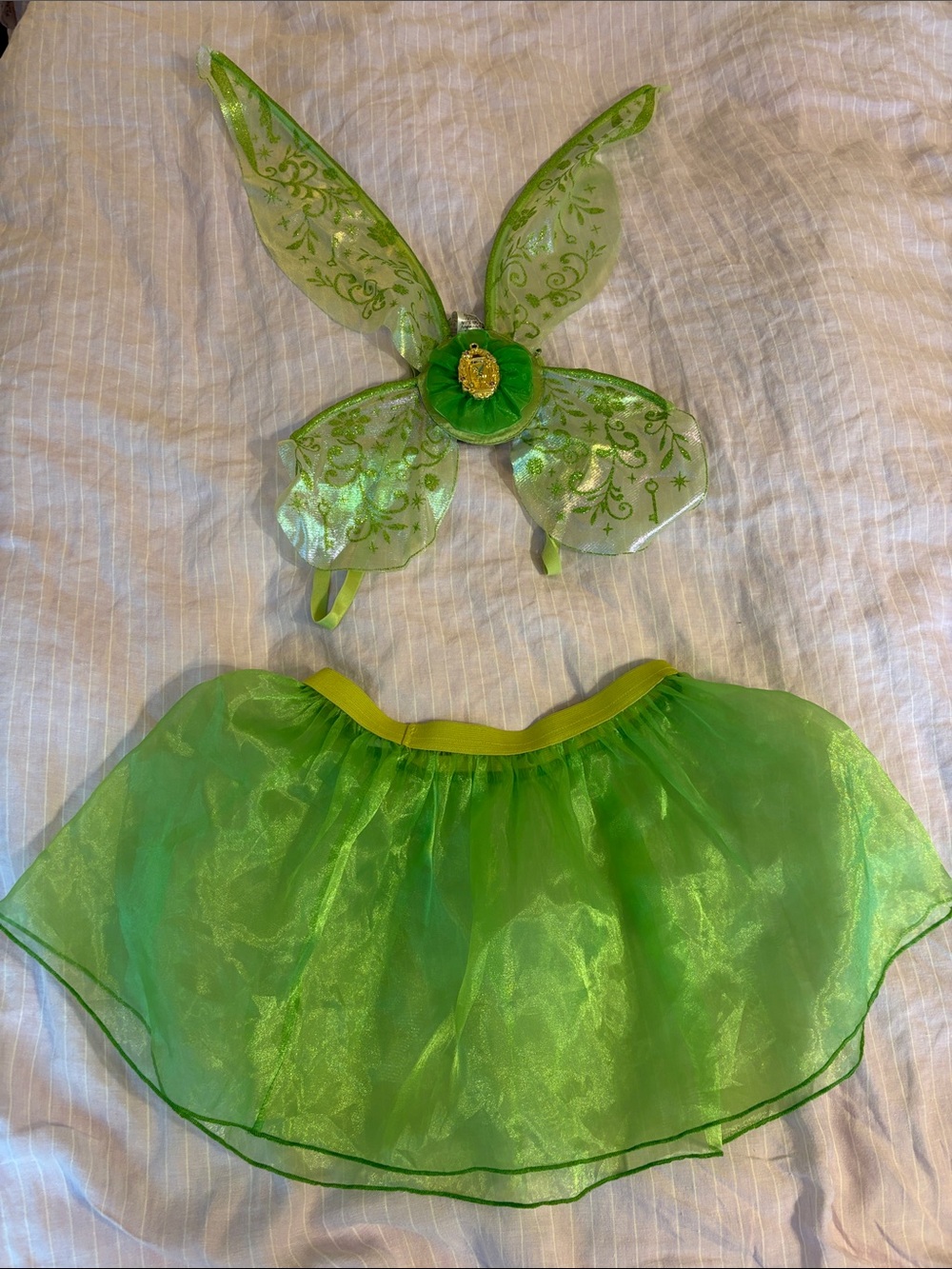 Disney Green Fairy Wings and Tulle Tutu Set